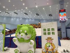 -广州热雪奇迹