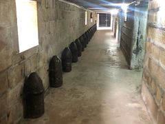 -胡里山炮台