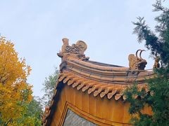 -黄瓦增福财神庙