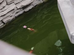 -湘子庙