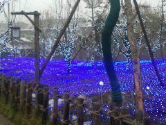 -蜻蜓逐宴全日制西餐厅I古北水镇大酒店