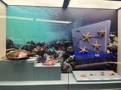 -上海中国航海博物馆