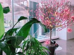 -WEGYMER健萌健身(雅颂居馆)