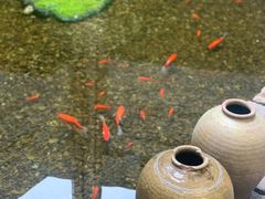 -几荷·恰似故人来(秀水广场店)