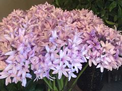 -锦江之星(西安五路口地铁站万达广场店)