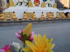 -护国法轮寺
