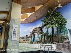 -延庆地质公园博物馆