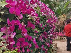 -沈阳植物园