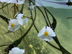 -丽江泸沽湖景区