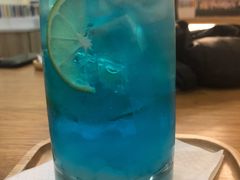 -滚猫咖啡·猫咖·猫友好撸猫(未来城店)