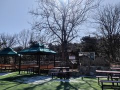 -北京西山国家森林公园