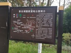 -重庆彩云湖湿地公园