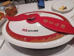 -阿五黄河大鲤鱼(海尚店)