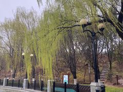 -大连植物园