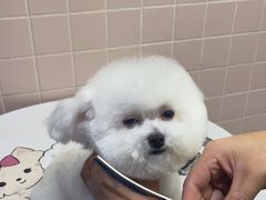 -FAELING PETS美天灵宠物(富力广场店)