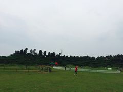 -秀丽东方