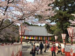 -醍醐寺
