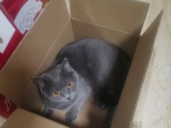 -袁记串串香(涧西总店)