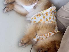 -怪兽屋·羊驼·猫咖·狗咖(俊华广场店)
