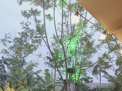 -茅草房·河畔园林火锅