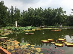 -国家植物园南园