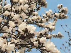 -首都图书馆-咖啡厅