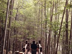 -祁门牯牛降观音堂风景区