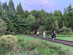 -昆山城市生态森林公园