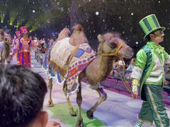 -广州长隆国际大马戏