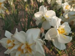 -廊坊文化艺术中心