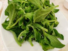 冰菜-顺风海鲜港(金玉兰店)