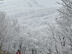 -安吉龙王山风景区