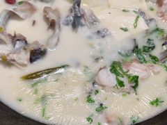 -鲜潭蒸汽石锅鱼(五道口购物中心店)