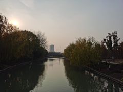 -九科绿洲