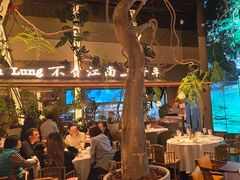 -桂满陇·海市蜃楼·黑金(国金店)