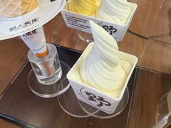 -野人先生现做冰淇淋(北京环宇荟店)