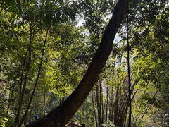 -赤水丹霞旅游区·佛光岩