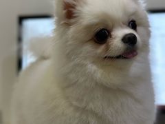 -萌兽医馆·眼科·异宠专科(三里屯店)