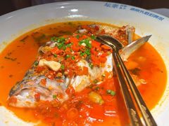 -坛宗剁椒鱼头(河西王府井店)