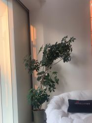 -WENDY·温迪皮肤管理