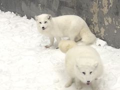 -湘江欢乐城欢乐雪域