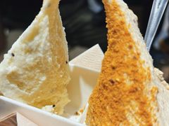 -野人先生现做冰淇淋(西安赛格店)