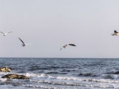 -金梦海湾浴场
