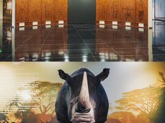 -广东中医药博物馆