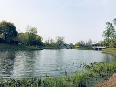 -尚贤河湿地