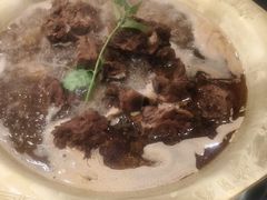 -芦月轩羊蝎子(北蜂窝店)