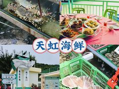 -南丫岛