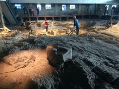 -自贡恐龙博物馆