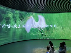 -中国湿地博物馆