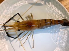 罗氏虾-Thai Basil罗勒叶泰式餐厅(时代天街店)